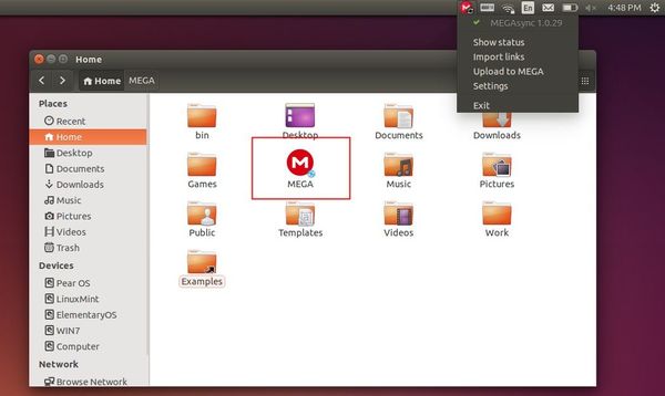 megavideo ubuntu