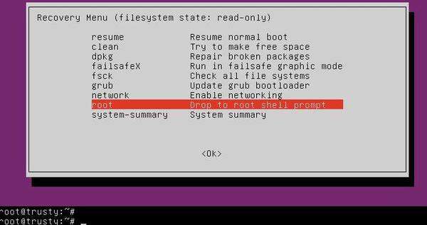Recovery Mode Root Prompt