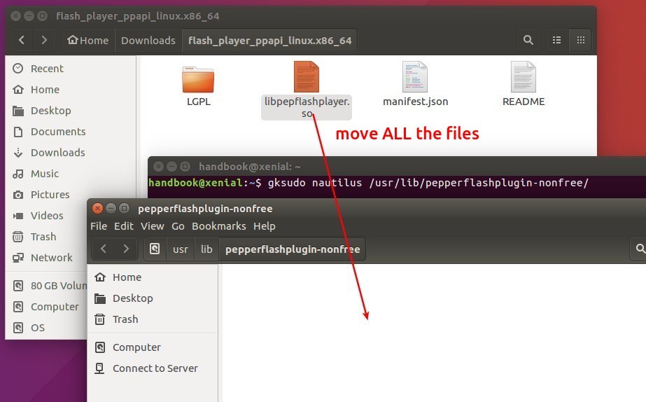 Install Flash Plugin In Debian Server