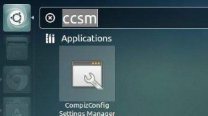 compizconfig settings manager