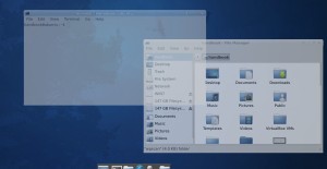 xfce4 composite window