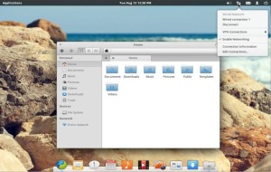 Elementary OS file manager
