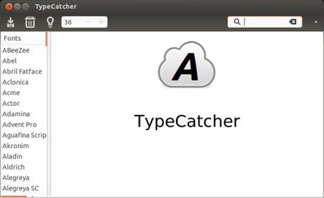 typecatcher ubuntu