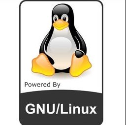 linux kernel logo