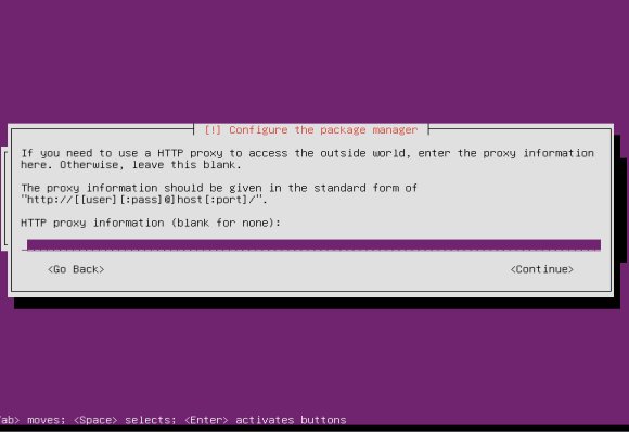 Ubuntu 13.10 Server HTTP setup