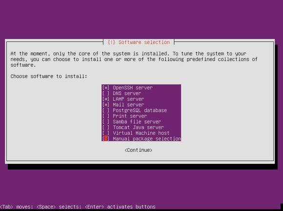 Ubuntu 13.10 Server install software
