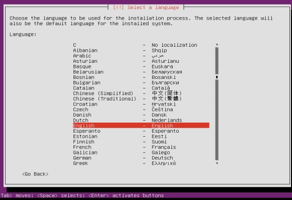 Ubuntu 13.10 server installation language