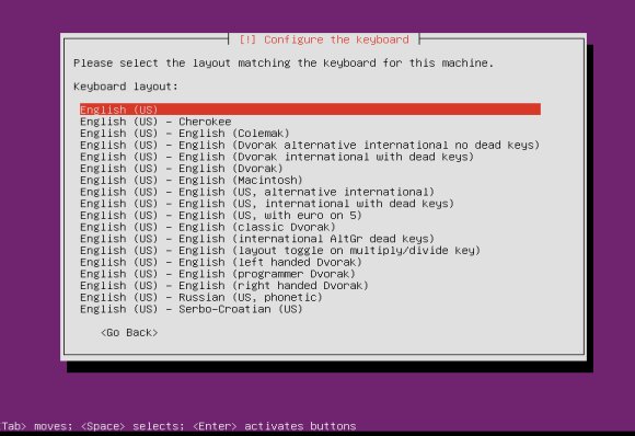 Ubuntu1310Server-install4