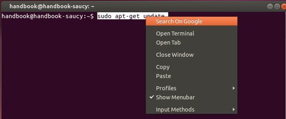 search on google in terminal ubuntu 13.10