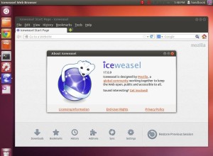 iceweasel 17 on Ubuntu 12.04