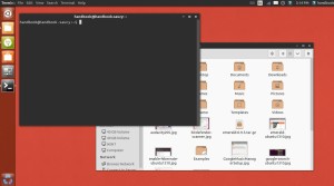 numix gtk Ubuntu 13.10 Unity