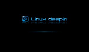 Linux Deepin boot splash