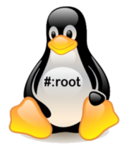 enable root ubuntu 13.10