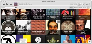 Xnoise Music Player in Ubuntu