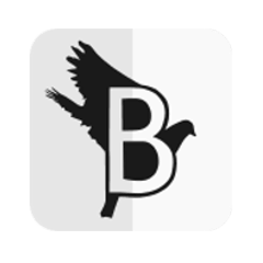 birdfont zoom tool