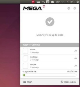 MEGAsync 4.9.6 instaling