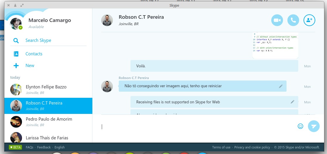 skype web chatting