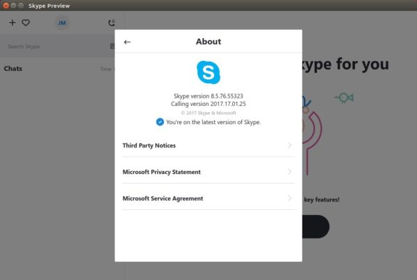 Skype preview