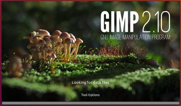 gimp editor for xmp and iptc