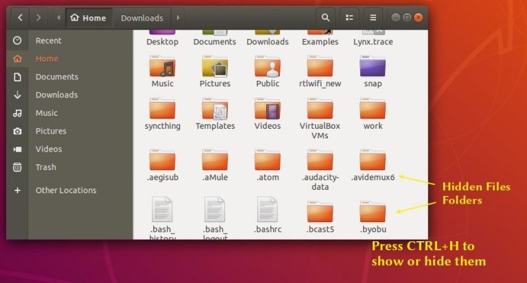 show hidden files ubuntu file explorer