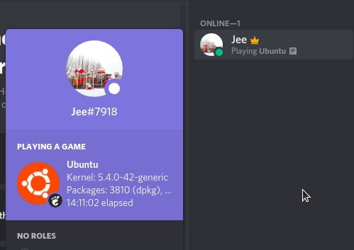 Discord Rich Presence is here! - News - Global