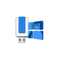 Creating a bootable Windows 11 USB flash drive in Linux