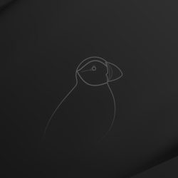 puffin-mascot-dark