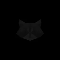 moskalenko-v-Low_poly_Raccoon_Very_Dark