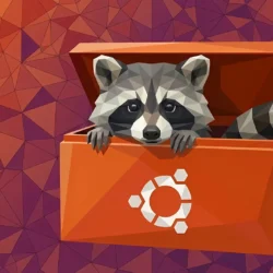 ndoki-Raccoon_out_of_Ubuntu_Tool_Box